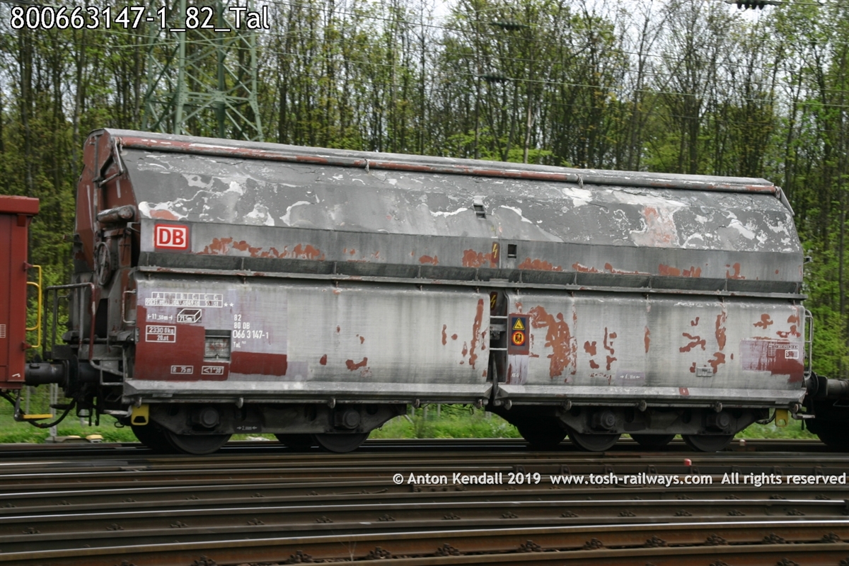800663147-1_82_Tal.jpg